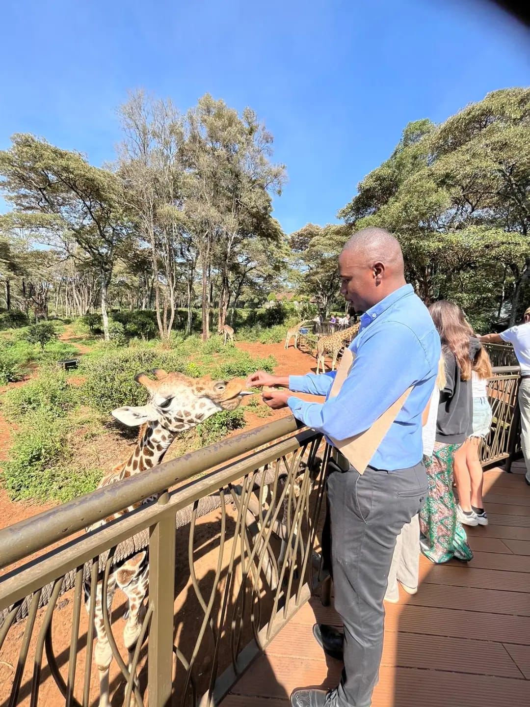 WhatsApp Image 2026 02 11 at 17.37.32