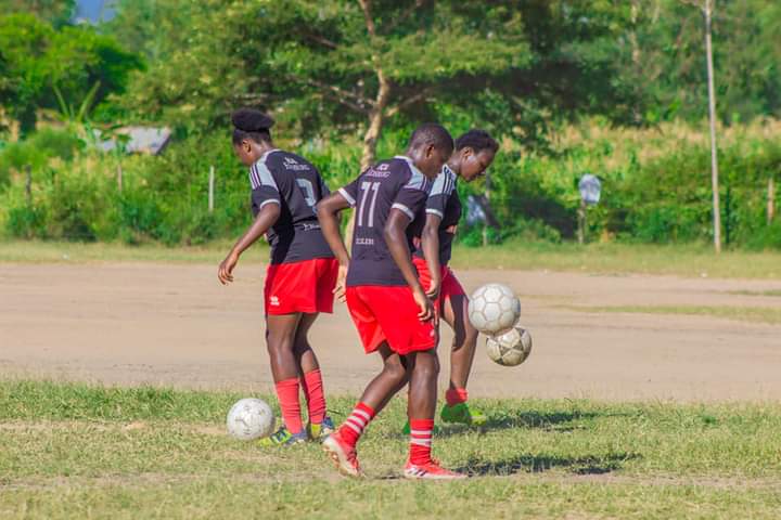 WhatsApp Image 2026 02 11 at 17.37.36