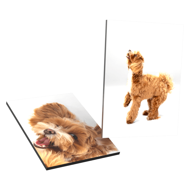 Photo Printing Services